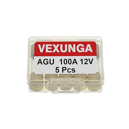 100A AGU Fuse 100 Amp Gold Plated Glass Inline Automobile Audio Fuses for Car Auto Stereo Amplifier Safety Power Protection 12V (Pack of 5 Pcs)
