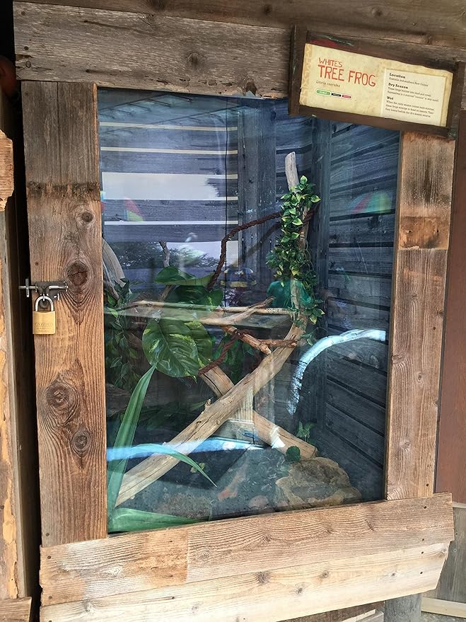 ABUS 80015 Rekeyable Steel Keyed Different Padlock