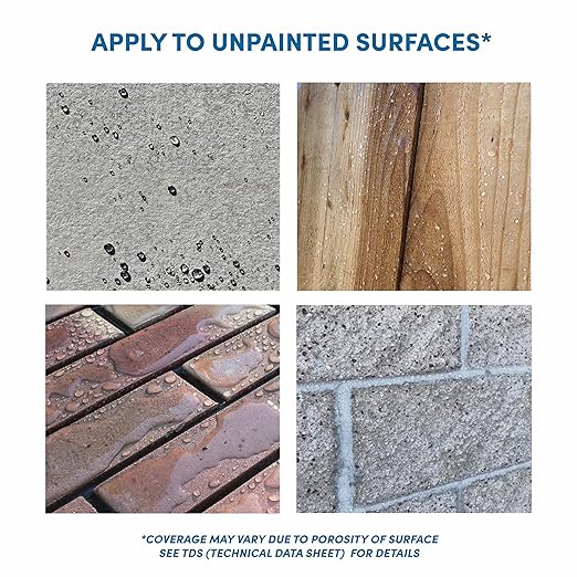 Rain Guard Water Sealers SP-1005 Salt Guard Concentrate Makes 5 Gallons - Clear Natural Finish - Penetrating Protection for Concrete and Masonry from Road Salt, Freeze Thaw, and Ice Damage