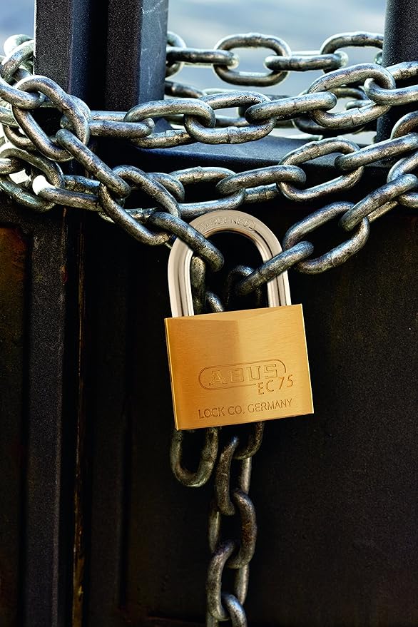 ABUS 75/30 Small Solid Brass Padlock with 2 Keys for Outdoor, School, Gym, 1 9/64in (30mm) Wide, Keyed Different