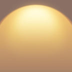 Jensense Edison LED Light Bulbs 8Watt Dimmable, 2700K Warm White, E26 Base, 60watt Equivalent, Vintage Bulbs 800lm CRI 90 Clear Glass, 48 Pack