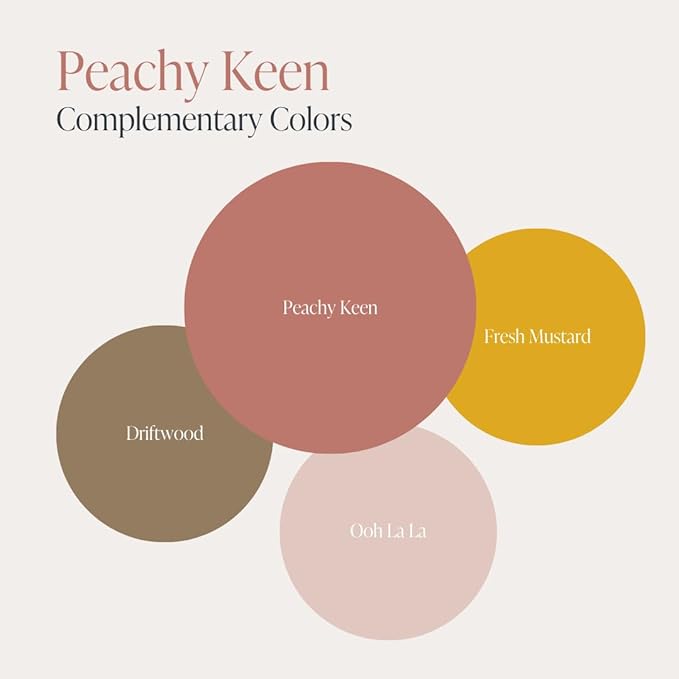 Country Chic All-in-One Chalk Paint for Furniture, Cabinets, Home Decor, Eco-Friendly, Matte Finish, Built-In Primer & Top Coat for Wood, Metal - Peachy Keen (Coral Pink) - 4 oz (118 ml)