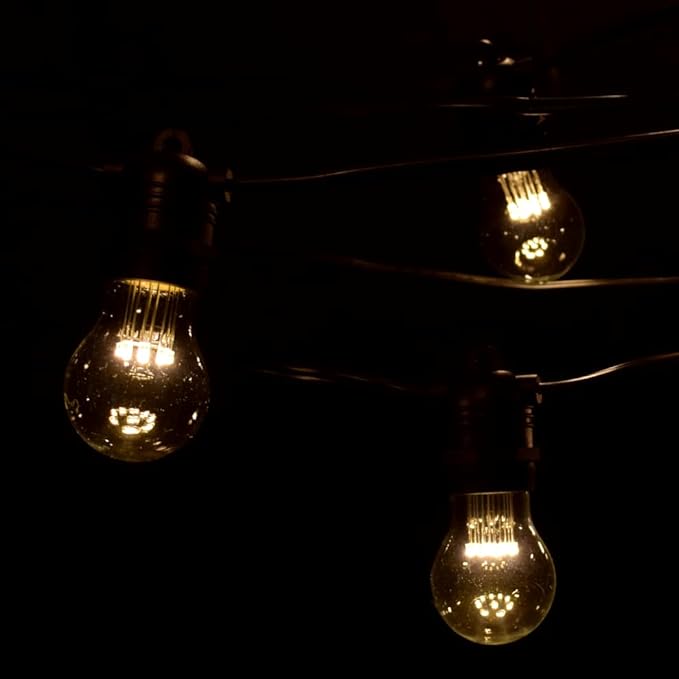 Hometown Evolution, Inc. E26 Commercial String Lights with 16 Gauge Wire (100 Foot 50 Socket, A15 LED 9 Diode 1 Watt Bulbs)