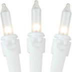Novelty Lights 50 Feet 100 Bulb Incandescent Mini Light String, Frosted with 6-Inch Spacing on White Wire, UL Listed Commercial Grade Indoor/Outdoor Mini Lights, Connectable End-to-End