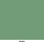 Dixie Belle Paint Company Chalk Finish Furniture Paint - Kudzu (1 Gallon - 128oz) - Matte Natural Green Chic Chalk Mineral DIY Furniture Paint