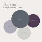 Country Chic All-in-One Chalk Paint for Furniture, Cabinets, Home Decor, Eco-Friendly, Matte Finish, Built-In Primer & Top Coat for Wood, Metal - Hurricane (Cool Grey) - 8 oz (237 ml)