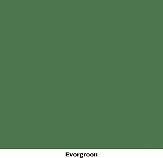 Dixie Belle Paint Company Chalk Finish Furniture Paint - Evergreen (8oz) - Matte Bold Green Chic Chalk Mineral DIY Furniture Paint