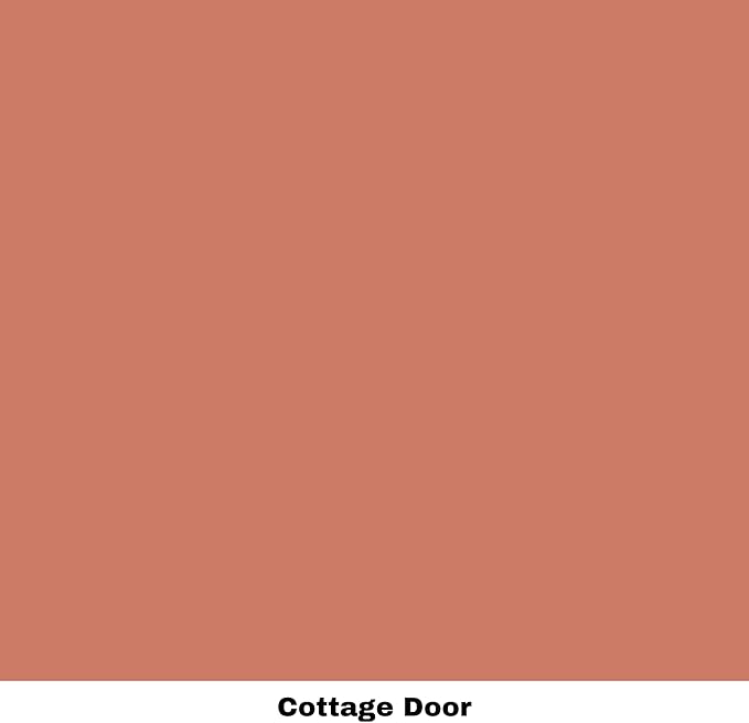 Dixie Belle Paint Company Chalk Finish Furniture Paint - Cottage Door (8oz) - Matte Dusty Coral Chic Chalk Mineral DIY Furniture Paint