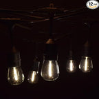 Hometown Evolution, Inc. 24 Foot E26 LED Outdoor Commercial String Lights with 12 Suspended Sockets and S14 LED Filament 1 Watt Bulbs