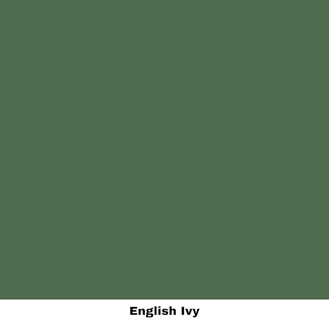 Dixie Belle Paint Company Chalk Finish Furniture Paint - English Ivy (8oz) - Matte Muted Green Chic Chalk Mineral DIY Furniture Paint