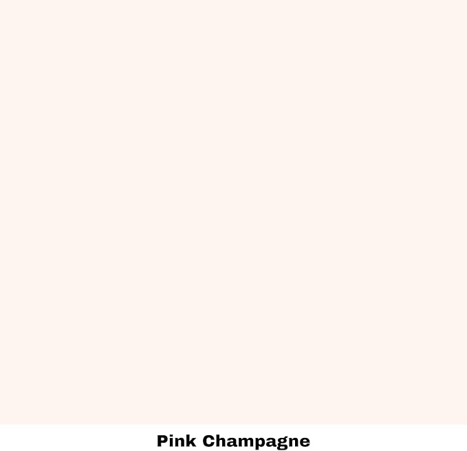 Dixie Belle Paint Company Chalk Finish Furniture Paint - Pink Champagne (32oz) - Matte Pale Pink Chic Chalk Mineral DIY Furniture Paint