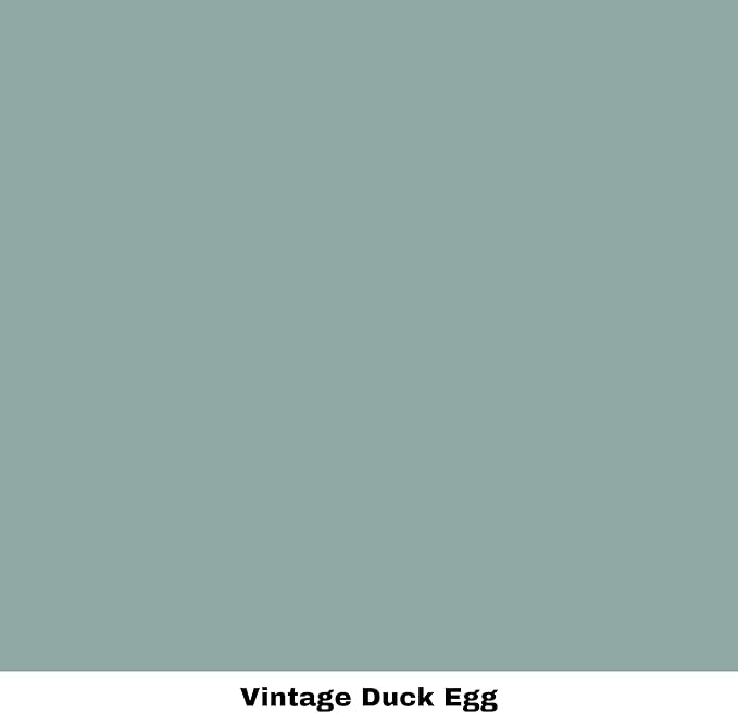 Dixie Belle Paint Company Chalk Finish Furniture Paint - Vintage Duck Egg (8oz) - Matte Light Blue Chic Chalk Mineral DIY Furniture Paint