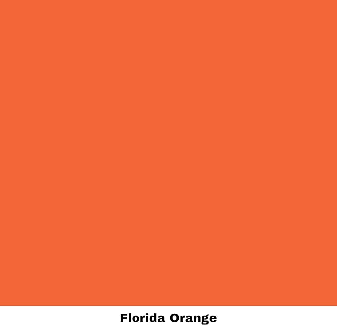 Dixie Belle Paint Company Chalk Finish Furniture Paint - Florida Orange (16oz) - Matte Bright Orange Chic Chalk Mineral DIY Furniture Paint