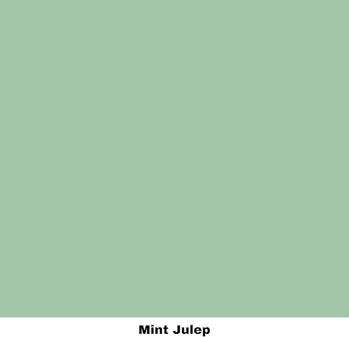 Dixie Belle Paint Company Chalk Finish Furniture Paint - Mint Julep (8oz) - Matte Mint Green Chic Chalk Mineral DIY Furniture Paint
