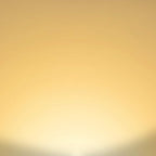 Energetic Dimmable LED Filament Light Bulbs Clear, 8W, 60 Watt Equivalent, Warm White 3000K, Classic Clear Glass, A19 LED Edison Bulb, 12 Pack