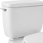 Toilet Handle Replacement Kit - Side Mount Toilet Trip Levers with Seal Gasket and Nut, Stainless Steel Flapper Chains, Universal Replacement (Brushed Nickel)