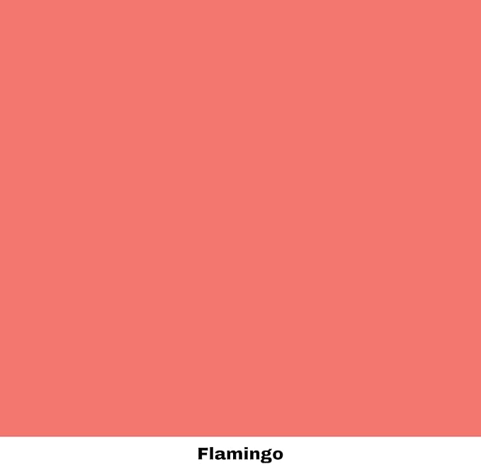 Dixie Belle Paint Company Chalk Finish Furniture Paint - Flamingo (8oz) - Matte Bright Coral Chic Chalk Mineral DIY Furniture Paint