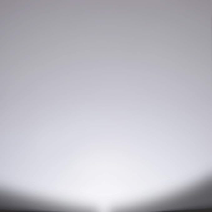 Energetic LED BR30 Flood Light Bulbs Indoor, Daylight 5000K, Dimmable, 65 Watts Recessed Light Bulbs for Cans, 650 Lumen, ETL Listed, 2 Pack