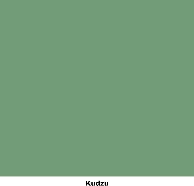 Dixie Belle Paint Company Chalk Finish Furniture Paint - Kudzu (8oz) - Matte Natural Green Chic Chalk Mineral DIY Furniture Paint