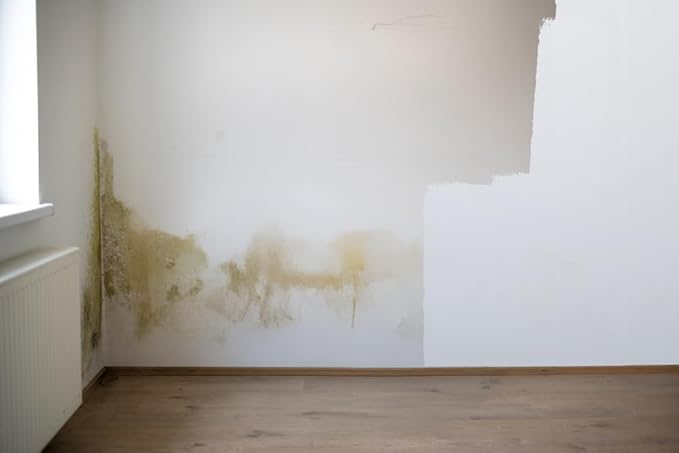 Evolve Ultimate Pro Stain Blocking Primer: Quick-Dry, Low Odor, Superior Stain-Blocking Primer (5 Gallon)