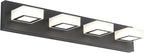 Ralbay Modern LED Black Vanity Lights 4 Lights Acrylic Bathroom Vanity Lighting Fixtures Modern Matte Black Bathroom Vanity Lights (Natural White Light)