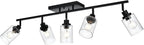 5-Light Track Lighting Fixtures, Black Flush Mount Ceiling Light Bathroom Wall Sconce Spotlight, Seeded Glass Shade