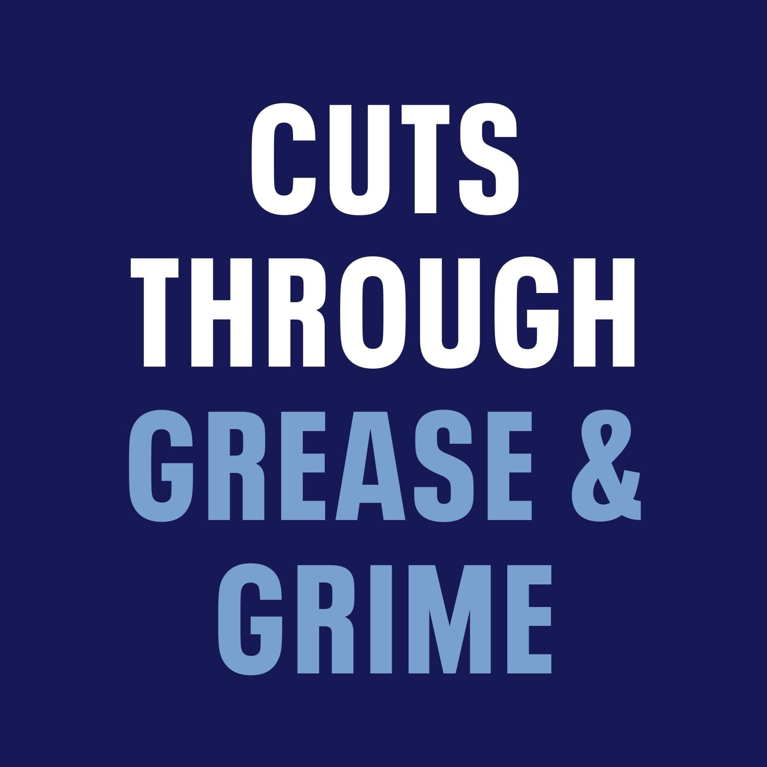 Bioesque Stainless Steel Cleaner & Polish, Heavy Duty, Non-Abrasive, 32 Fl Oz (Pack of 1)