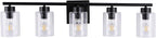 5 Light Bathroom Light Fixtures, 33.3 Inches Bathroom Lighting Fixtures Over Mirror, Black Vanity Light with Clear Glass Shades