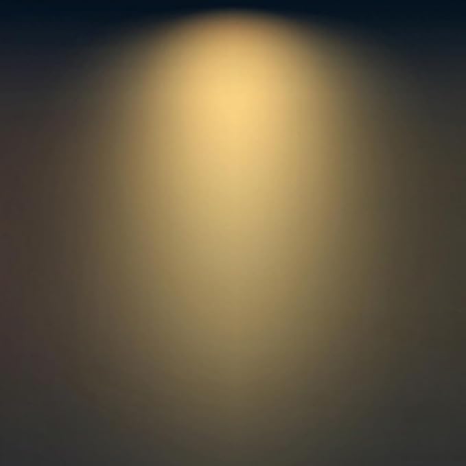 FLSNT B11 E26 Base LED Candelabra Light Bulbs 60W Equivalent, Dimmable, LED Candle Light Bulbs, 2700K Soft White, 12 Pack UL,CA65 Listed.