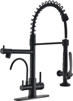 Fapully Commercial Kitchen Faucet with Pull Down Sprayer and Water Filter, Matte Black 3 in 1 Kitchen Faucets with Drinking Water Faucet