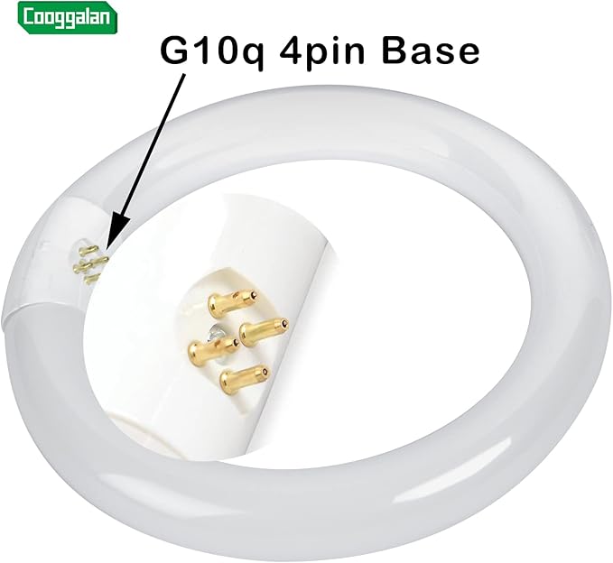 8 inch FC8T9/CW 22W Cool White Circular Fluorescent Light Bulb, Round T9 22 Watt Circline Fluorescent Lamp Bulbs 4100K 1350 Lumens, G10q 4 Pin Base, 2 Pack