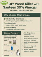 Santeen 30% Concentrated Cleaning Vinegar - 2X1 Gallon Jugs | Indoor & Outdoor | Extra-Strength