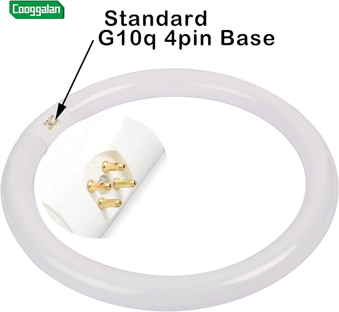 FC12T9/DX 32W 12 inch T9 Circular Light Bulb Daylight, Round Fluorescent Circline Bulbs FC12 T9 32 Watts Kitchen and Bath, G10q 4 Pin Prong, 6500K, 2 Pack