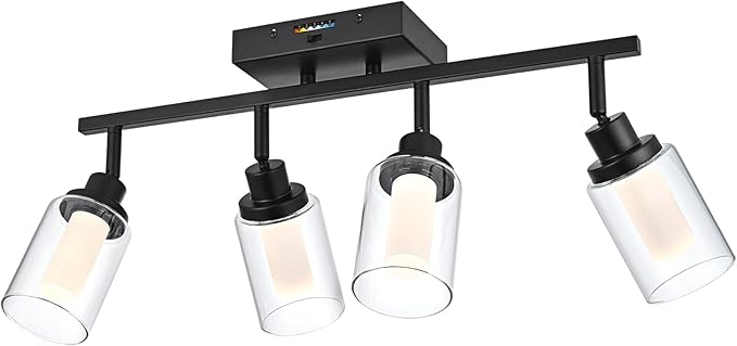 4-Light LED Black Dimmable Track Lighting Kit, 5-Color Temperature Adjustable Directional Ceiling Spotlight, Bathroom Wall Lamp with Integrated LED Chips