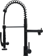 Fapully Black Kitchen Faucet,Commercial Pull Down Kitchen Sink Faucet with Sprayer