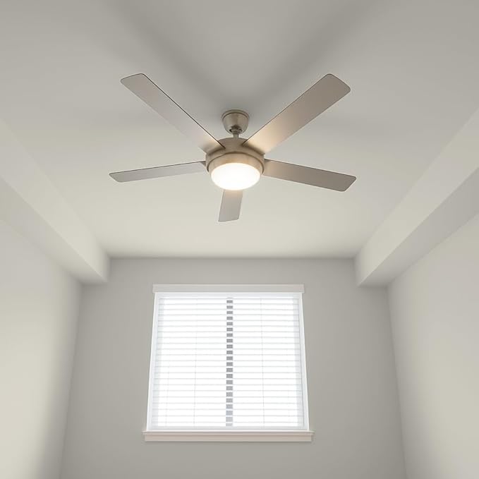 EVOLVE All Purpose Whites: Latex Flat Interior Paint for Walls & Ceilings, Shades of White, Quick Dry, Excellent Touch-Up & Coverage, Eco-Friendly (Alabaster)