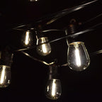 Hometown Evolution, Inc. E26 Commercial String Lights with 16 Gauge Wire (24 Foot 12 Socket, S14 LED Filament 1 Watt Bulbs)