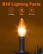 E12 Candle Light Bulbs 25W Warm White 2500K, 250Lumen - B10 Clear Candelabra Base Bulbs Dimmable Chandelier Light Bulbs for Ceiling Fan, Pendants or Outdoor (12 Pack)