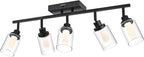 5-Light LED Black Track Light Fixtures Ceiling, 5-Color Temperature Adjustable Directional Spotlight, Bathroom Vanity Lighting with Integrated LED Chips & Clear Glass Shade & Frosted Column