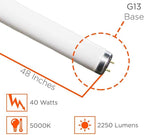 GoodBulb F40T12 40W 48 Inch T12 Fluorescent Light Bulb 5000K Daylight Medium Bi-Pin Base 2250 Lumens 90 CRI 24000 Life Hours Car Dealership Lighting 30 Pack