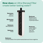 British Berkefeld Doulton 8674 Ultra Sterasyl Ceramic Filter Candle for Countertop Gravity Water Filter System Short Mount 7" - 4 Pack