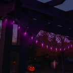 Novelty Lights 11 Feet 50 Bulbs Traditional Incandescent Mini Lights, Purple on Green Wire with 2.5" Spacing, Commercial Grade and UL Listed for Indoor/Outdoor Use, End-to-End Connectable