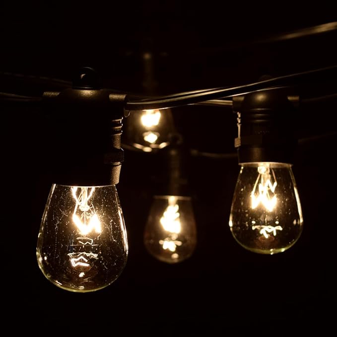 Hometown Evolution, Inc. Commercial E26 String Lights with 16 Gauge Wire (24 Foot 12 Socket, S14 11 Watt Clear Bulbs)