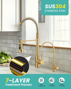 Kitchen Faucet and Water Filter Faucet: Brushed Gold Kitchen Sink Faucet with Drinking Water Faucet - Stainless Steel Single Handle Tap with Pull Down Sprayer for Kitchen Sink Farmhouse Bar