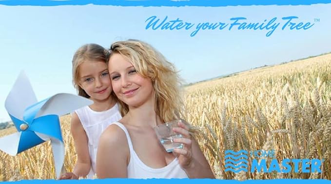 Home Master Whole House 4-Layer Sediment 25 to 1 Micron, Iron, Radial Flow GAC Carbon, 2 orings & Grease, 15gpm, Replacement Filter Set CsetBB3SmgFeC 20x4.5