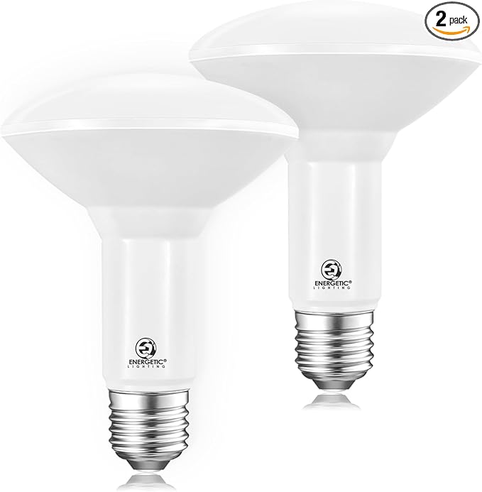 Energetic LED BR30 Flood Light Bulbs Indoor, Daylight 5000K, Dimmable, 65 Watts Recessed Light Bulbs for Cans, 650 Lumen, ETL Listed, 2 Pack
