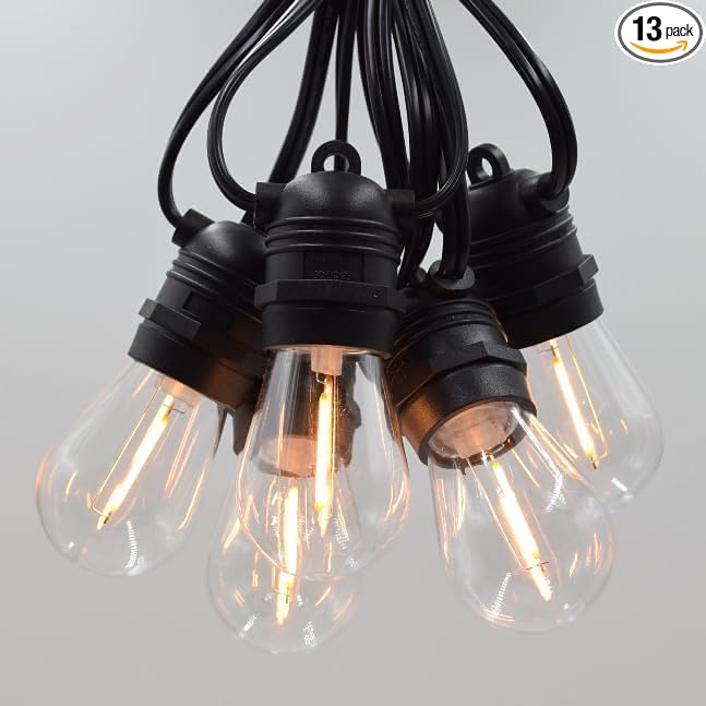 Hometown Evolution, Inc. E26 Commercial String Lights with 16 Gauge Wire (S14 LED Plastic, 24 Foot 12 Socket)