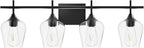 Vanity Bathroom Light, 4-Light Bathroom Light Fixtures Over Mirror, Black Vanity Lights for Bathroom with Clear Glass, Modern Wall Lamp for Cabinet Hallway, Bedroom