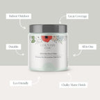 Country Chic All-in-One Chalk Paint for Furniture, Cabinets, Home Decor, Eco-Friendly, Matte Finish, Built-In Primer & Top Coat for Wood, Metal - String of Pearls (Light Green) - 4 oz (118 ml)