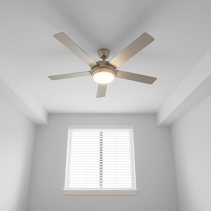 EVOLVE All Purpose Whites: Latex Flat Interior Paint for Walls & Ceilings, Shades of White, Quick Dry, Excellent Touch-Up & Coverage, Eco-Friendly (Bright White)